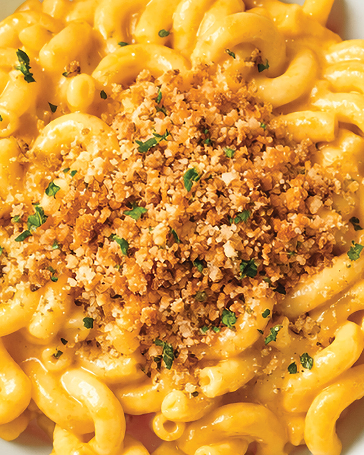Plain Bread Crumbs