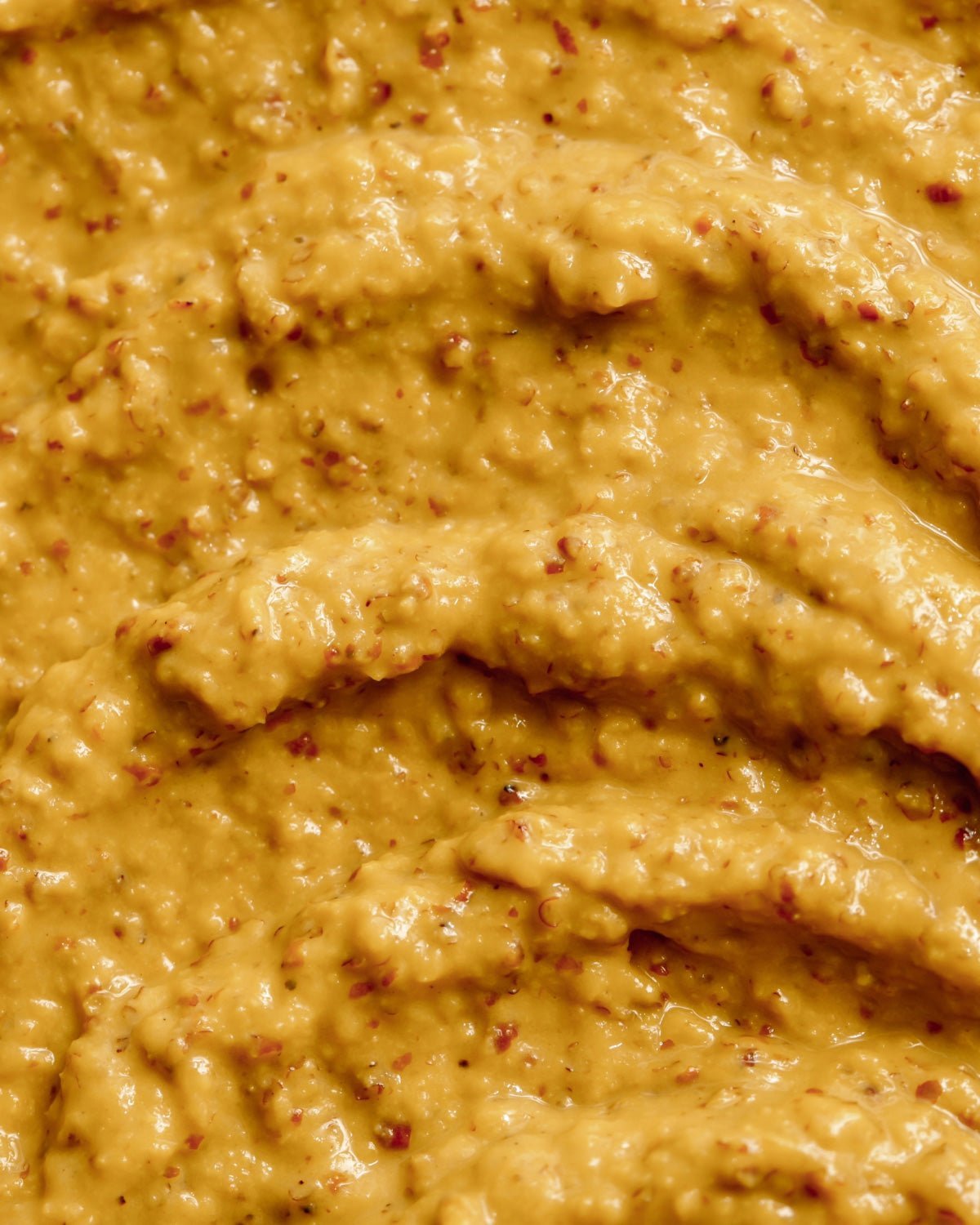 Organic Dijon Mustard 7g – CASE