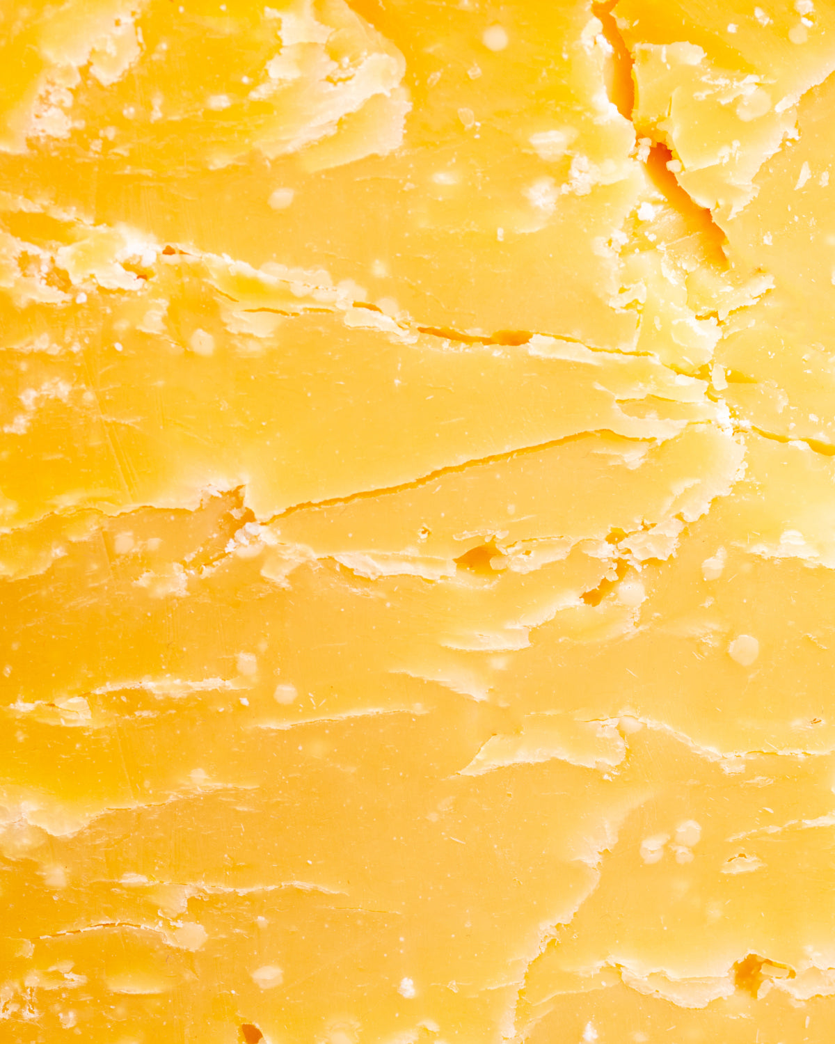 Nacho Cheese Flavored Tortilla Chips