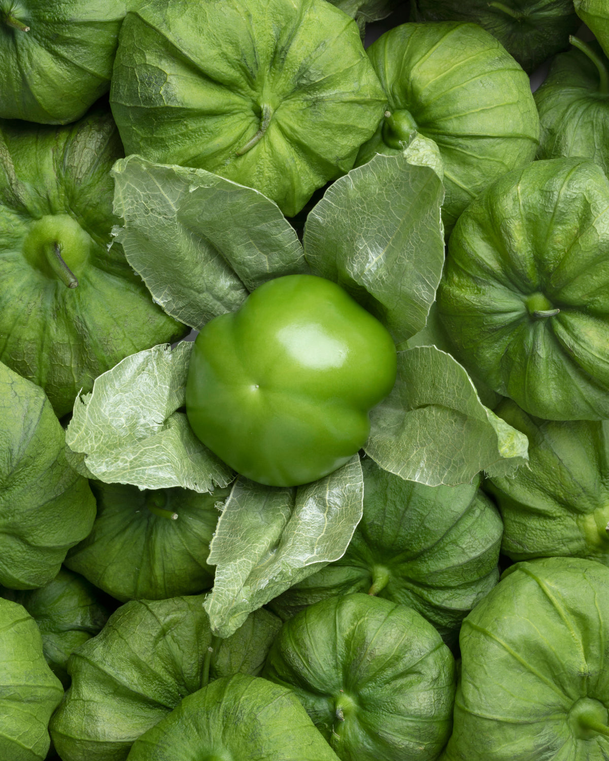 Medium Green Taco Sauce