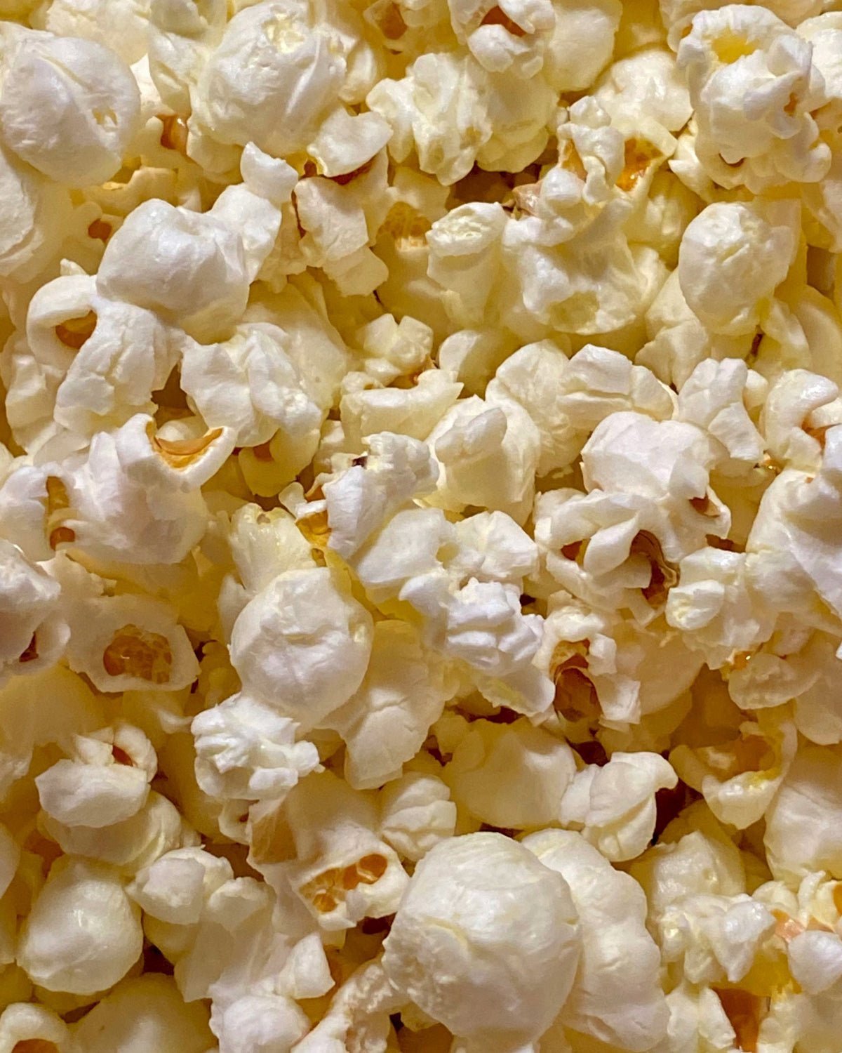 Popcorn with Sea Salt