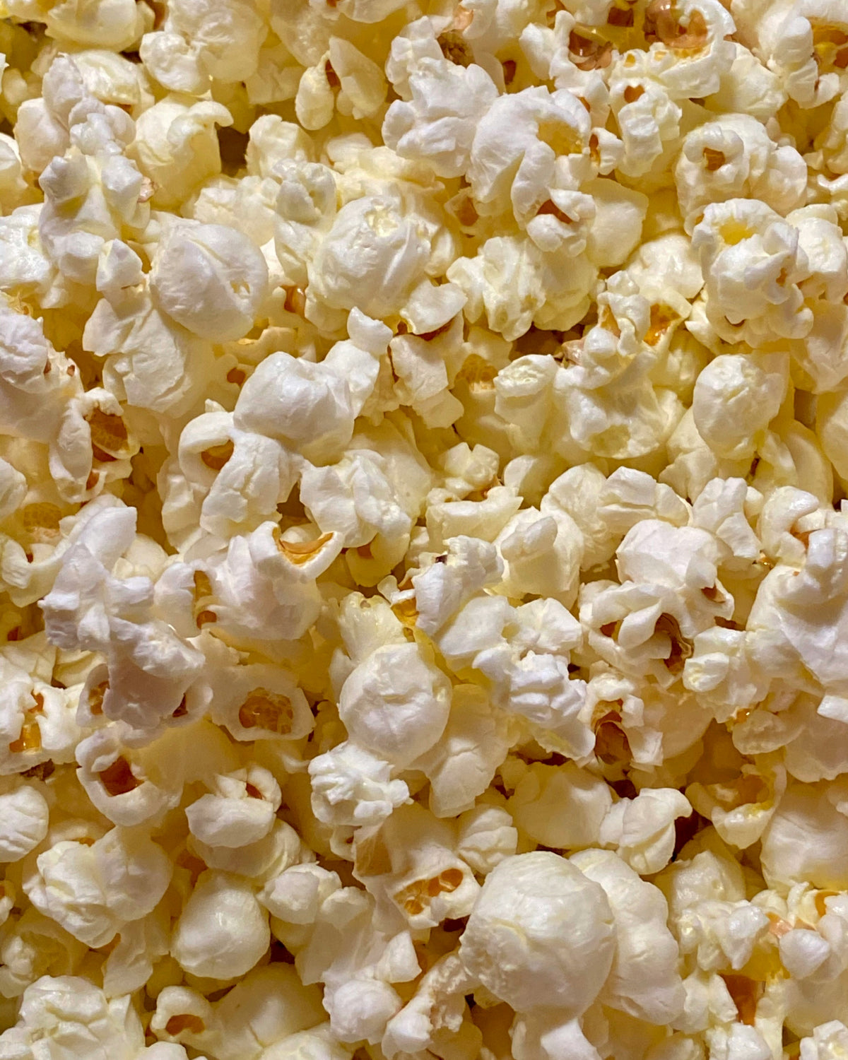 Popcorn with Sea Salt