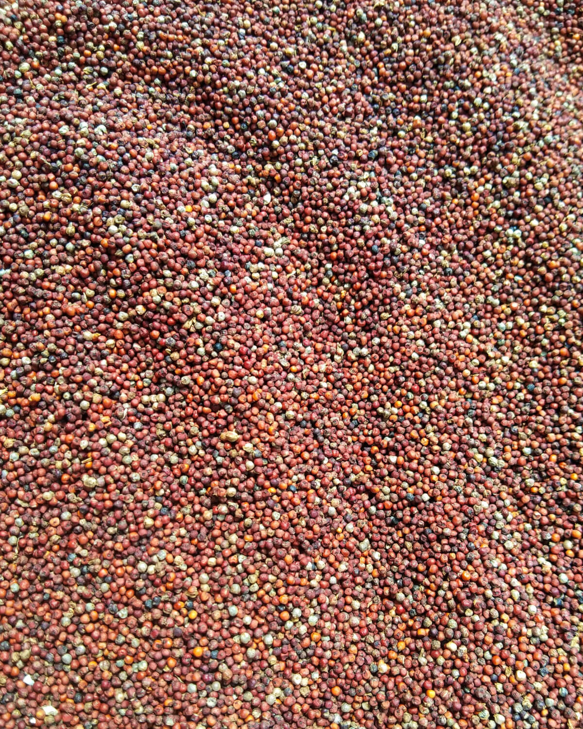 Dijon Mustard